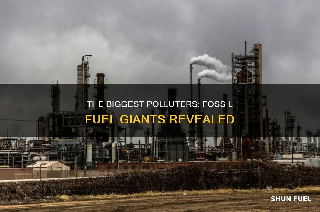 what are the biggest fossil fuel companies