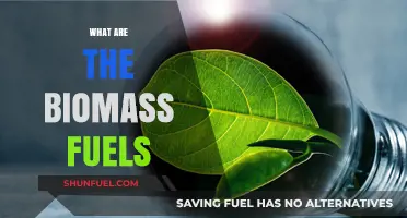 Exploring Biomass Fuels: Sustainable Energy Sources and Their Benefits