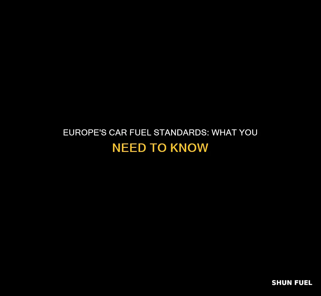 what are the car fuel standard for europes
