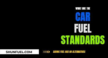 The Evolution of Car Fuel Standards: What You Need to Know