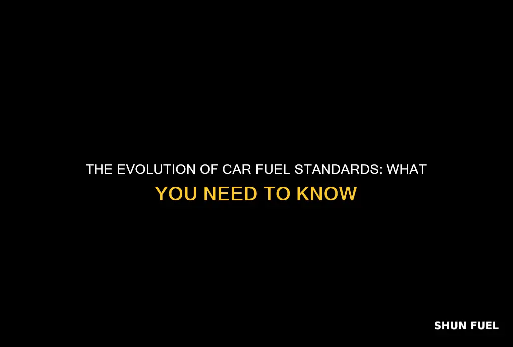 what are the car fuel standards