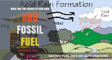 Understanding Acid Rain and Fossil Fuel Connections
