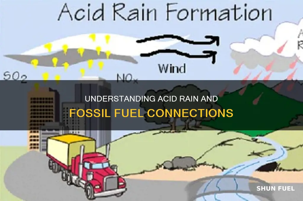 what are the causes of acid rain and fossil fuel