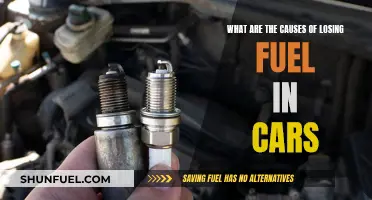 Fuel Loss in Cars: Causes and Prevention Tips