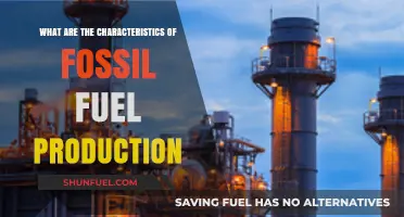 Fossil Fuel Production: Key Traits and Insights