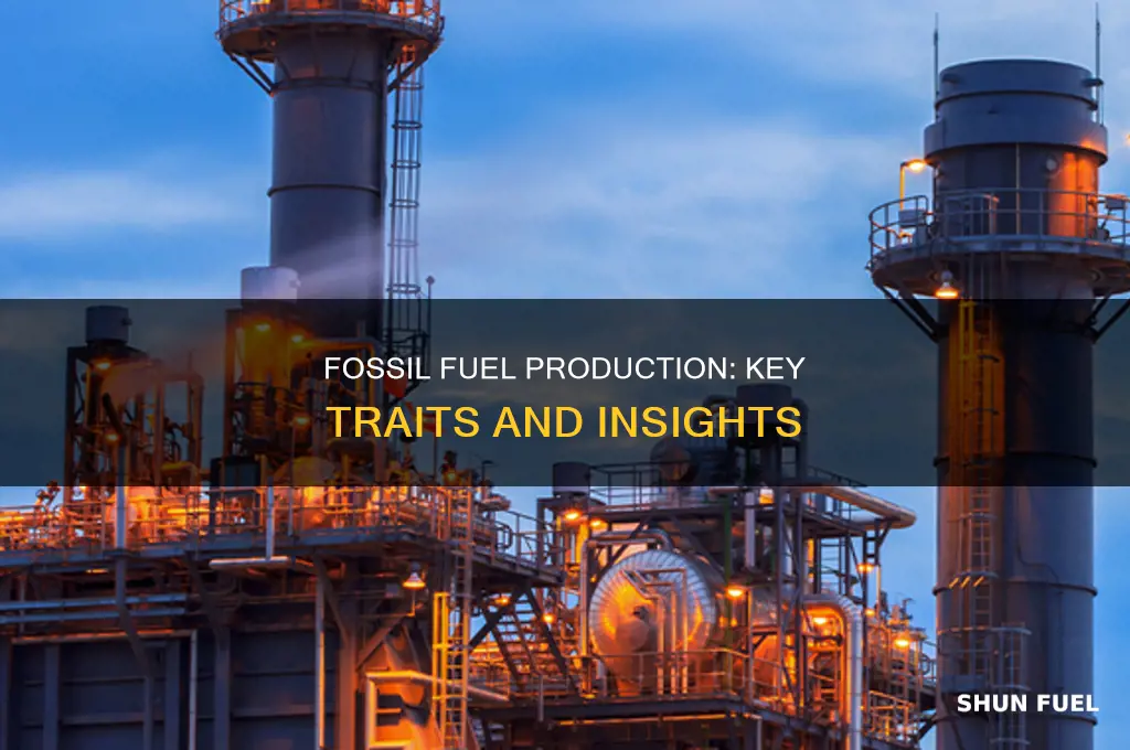 what are the characteristics of fossil fuel production