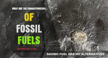 Fossil Fuels: Key Traits and Their Impact