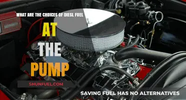 Understanding Your Diesel Fuel Options at the Pump: A Comprehensive Guide