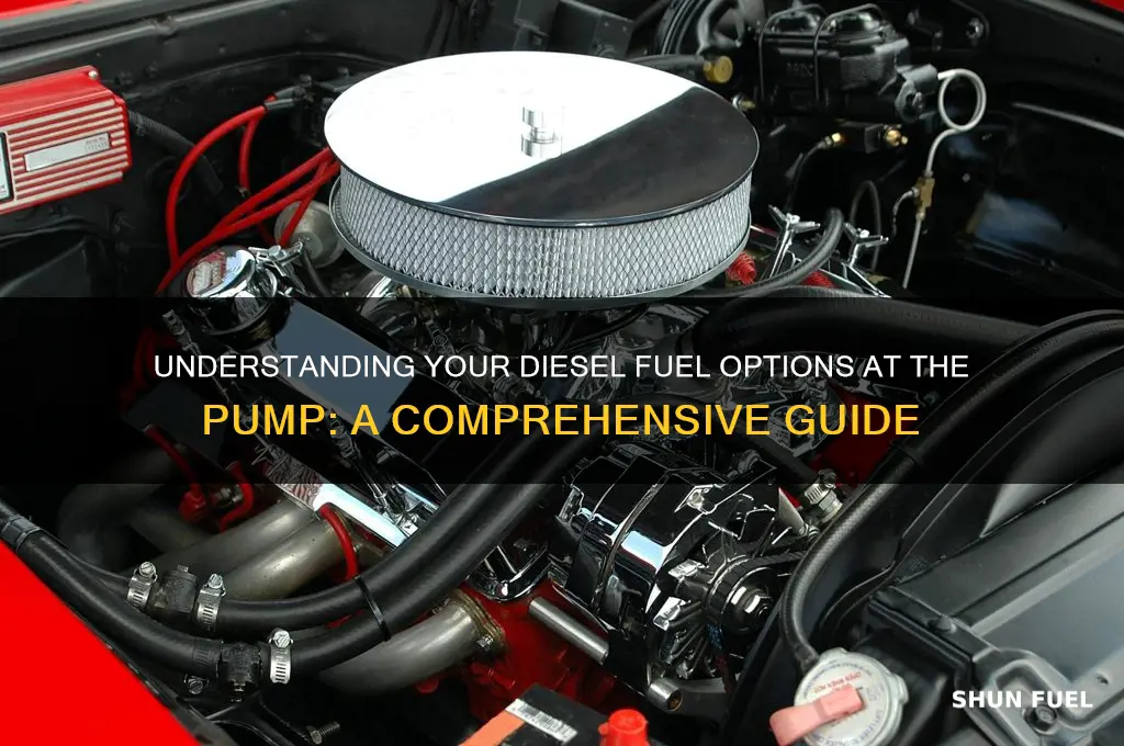 what are the choices of diesl fuel at the pump