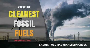 Cleanest Fossil Fuels: The Greenest of the Dirty Energy Sources