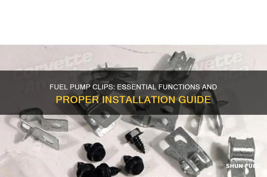 what are the clips that come with fuel pumps for