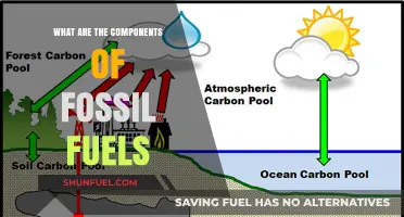 Fossil Fuels: Key Components and Their Impact