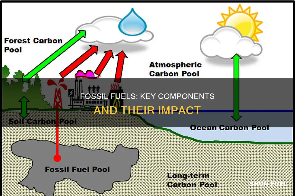 what are the components of fossil fuels
