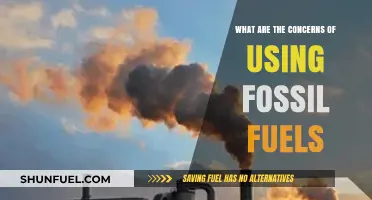 Fossil Fuels' Environmental Impact: Concerns, Consequences, and Sustainable Alternatives