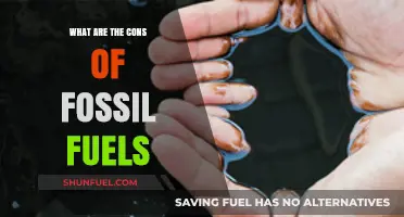 Fossil Fuels: Damaging Our Planet and Our Health