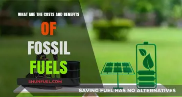 Fossil Fuels: Costs, Benefits, and the Future