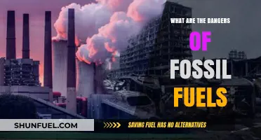 The Dark Side of Fossil Fuels