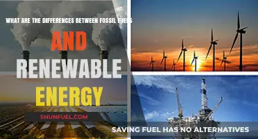Fossil Fuels vs. Renewable Energy: Key Differences Explained