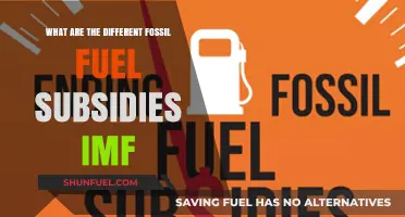 Fossil Fuel Subsidies: IMF's Global Economic Outlook