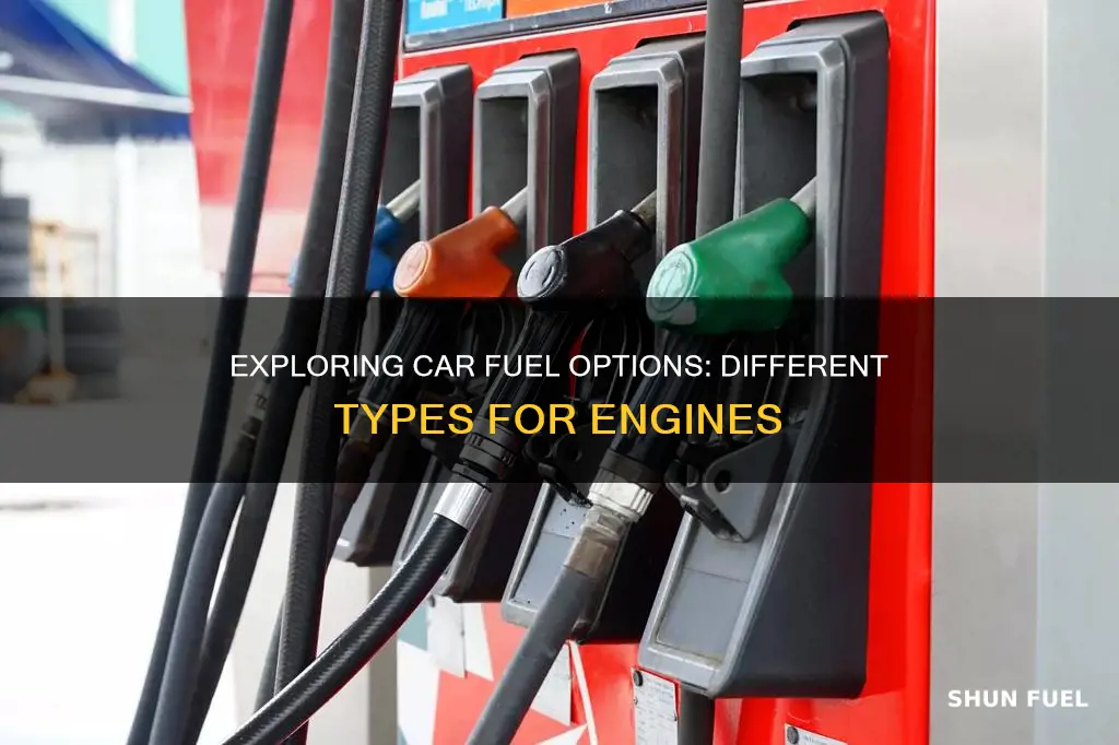 what are the different fuel types for cars