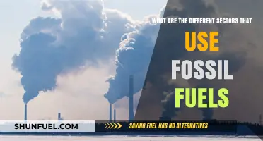 Industries Relying on Fossil Fuels: An Overview