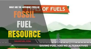 Fossil Fuel Sources: Diverse Energy Options