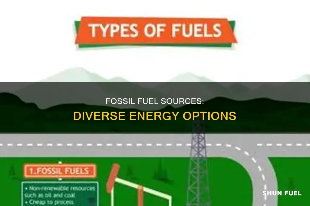 what are the different types of fossil fuel resource