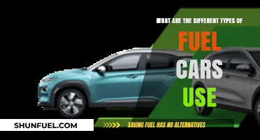 Exploring the Diverse Fuel Types Powering Modern Vehicles Today