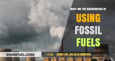 Fossil Fuels' Hidden Costs: Environmental, Economic, and Health Disadvantages