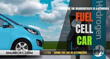 Hydrogen Fuel Cell Cars: More Harm Than Good?