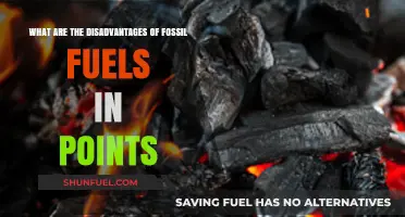 Fossil Fuels: Drawbacks and Damages