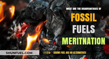 Fossil Fuels: More Harm Than Good?