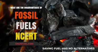 Fossil Fuels: Harmful Impacts and NCERT's Perspective