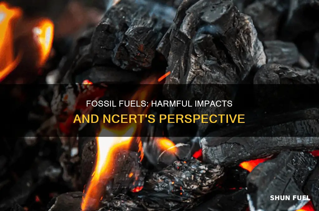 what are the disadvantages of fossil fuels ncert
