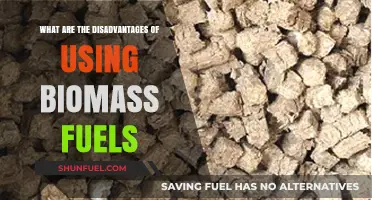 Biomass Fuels: Hidden Costs and Environmental Drawbacks Explained