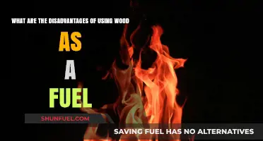 Wood Fuel Drawbacks: Environmental, Economic, and Health Concerns Explained