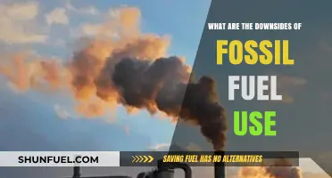 The Hidden Costs of Fossil Fuels: Environmental and Health Downsides