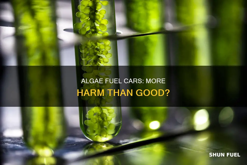 what are the drawbacks algae fuel cars