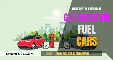Gas-Electric Cars: Benefits or Hindrances?