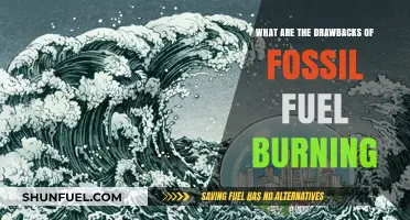 The Dark Side of Fossil Fuel Burning