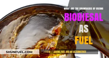 Biodiesel's Hidden Costs: Exploring the Downsides of Eco-Friendly Fuel