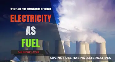 Electricity as Fuel: Hidden Costs and Environmental Drawbacks Explained