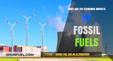 Fossil Fuels: Economic Impacts and Hidden Costs