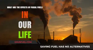 Fossil Fuels: Impacting Our Lives and Future