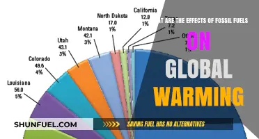 Fossil Fuels' Impact: Global Warming's Dark Side