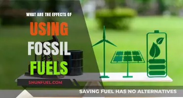 Fossil Fuels' Impact: Environmental, Economic, and Health Consequences Explored