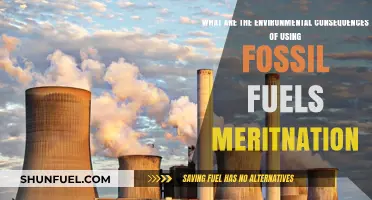 Fossil Fuels: Environmental Impact and Our Future