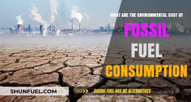 The Dark Side of Fossil Fuels: Environmental Costs