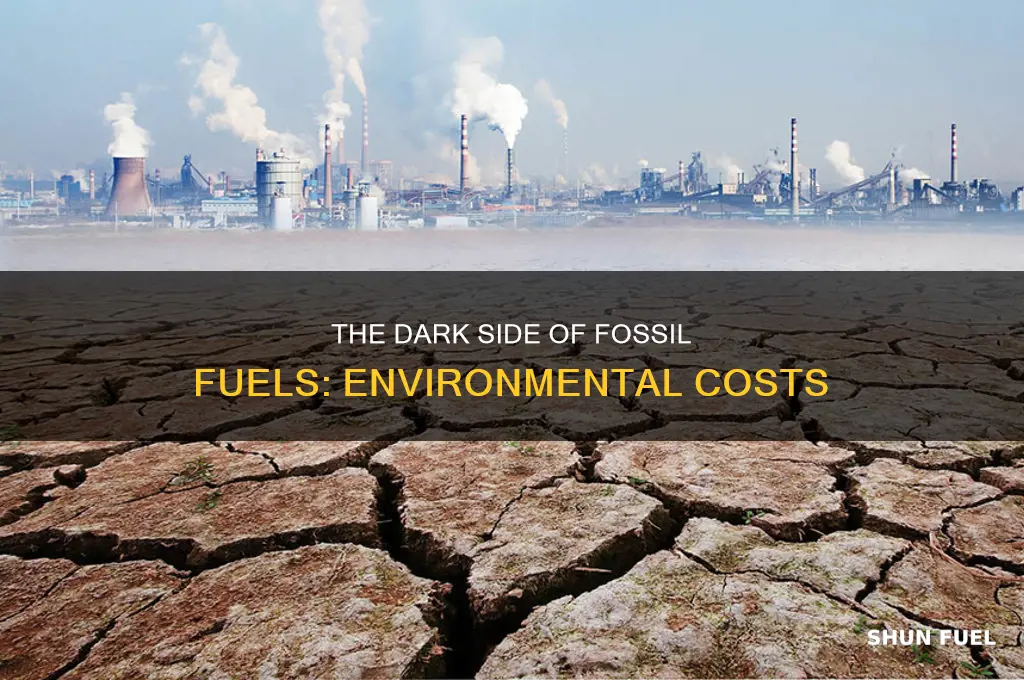 what are the environmental cost of fossil fuel consumption