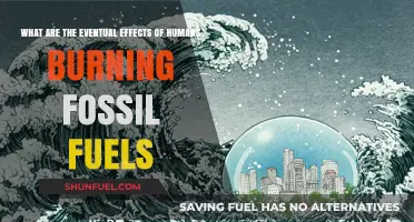 Fossil Fuel Burning: The Devastating Impact on Our Planet